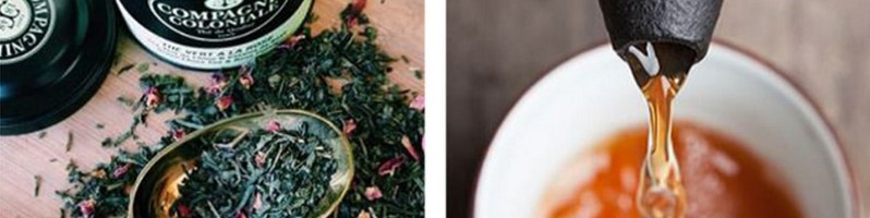 �g���R�X�����T�C�g